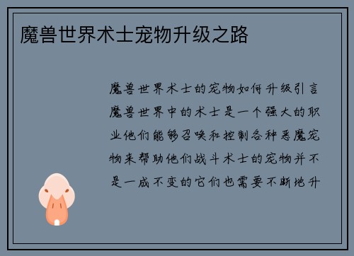 魔兽世界术士宠物升级之路