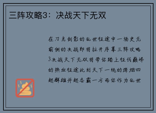 三阵攻略3：决战天下无双